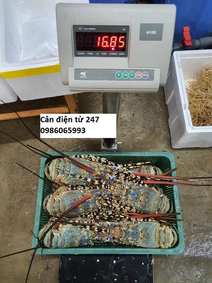Can-ban-dien-tu-50-60-100-150-200-300-kg