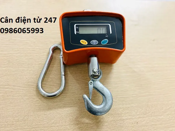 can treo dien tu HP 500kg