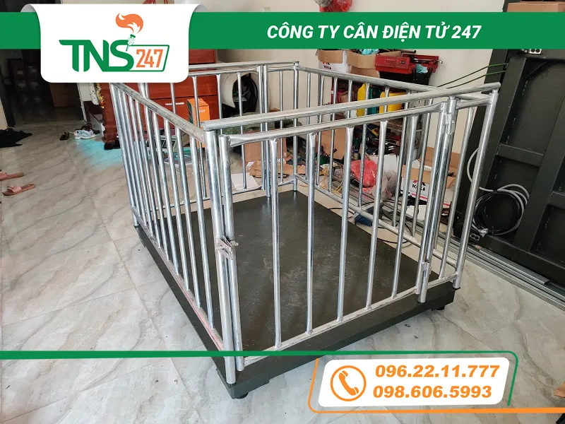 can-dong-vat-1-2-3-5-tan-gia-tot-nhat