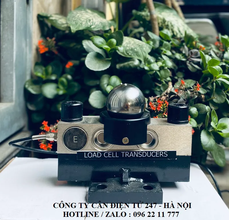 load-cell-cam-bien-tai-QSD-30T-40T-dang-cau-bi