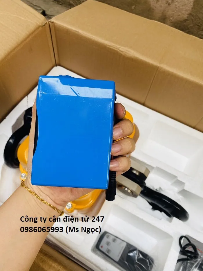 mua-pin-ac-quy-dung-cho-can-treo-dien-tu-1-2-3-5-10-tan