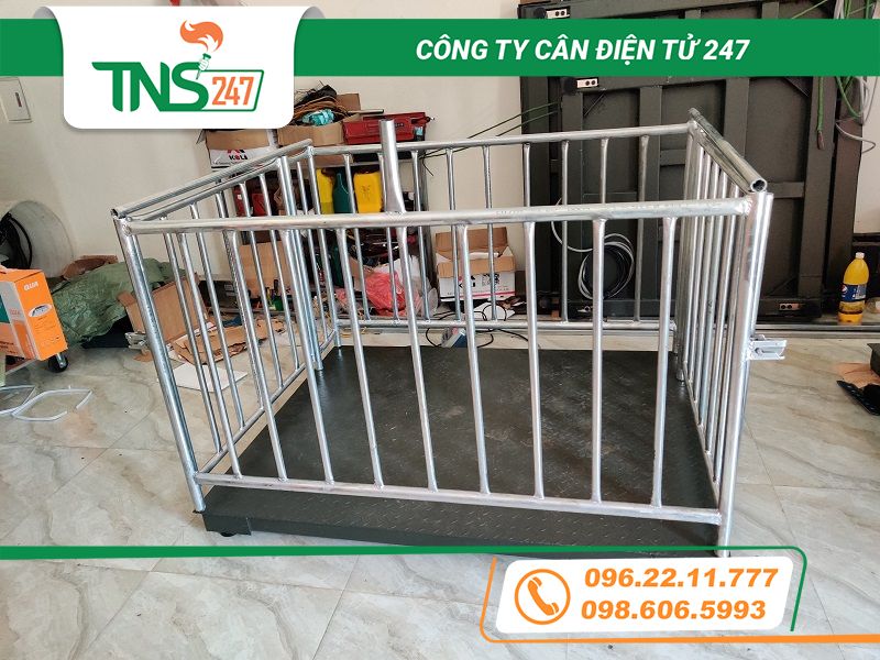 Cân động vật 1,2,3,5 tấn