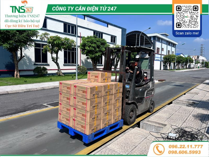 Sửa chữa cân ô tô điện tử 100 tấn hỏng do sét đánh tại Hải Phòng