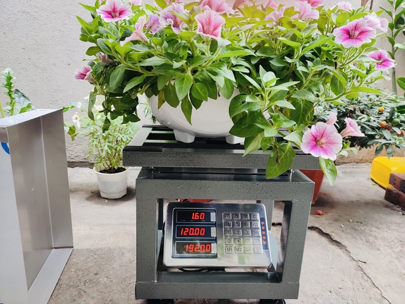 Cân bàn TSC 100kg