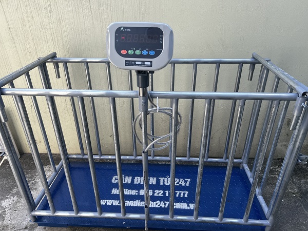 Cân lồng heo HP 500kg