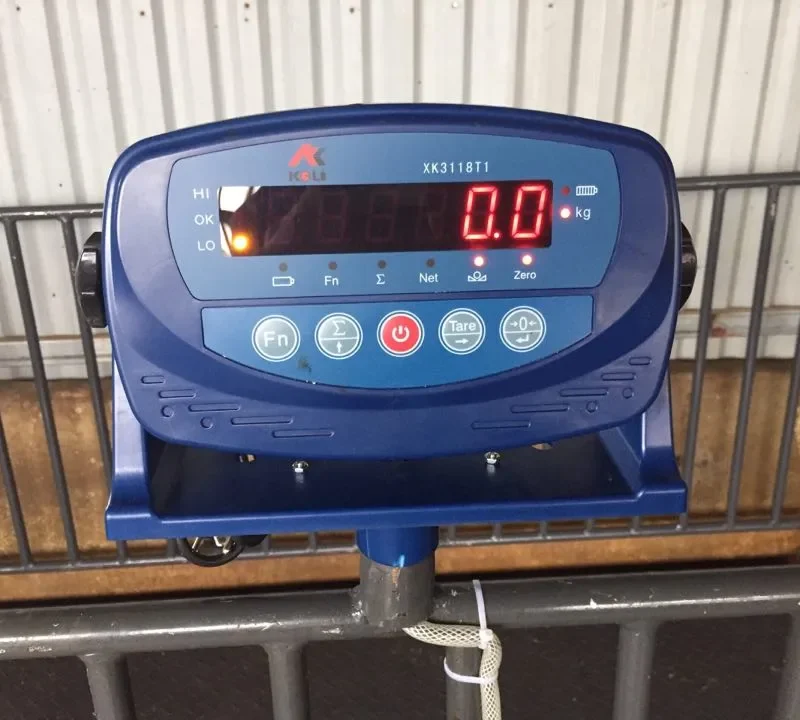 Cân lồng heo XK3118T1