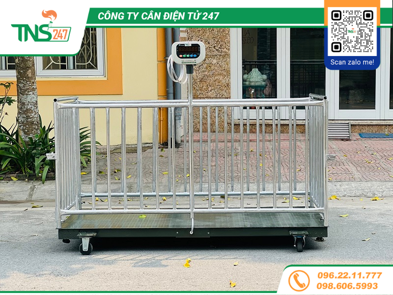 Cân lồng heo HP 1 tấn