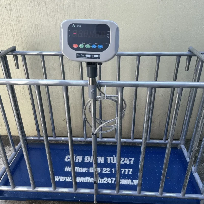 Cân sàn động vật 500kg giá rẻ