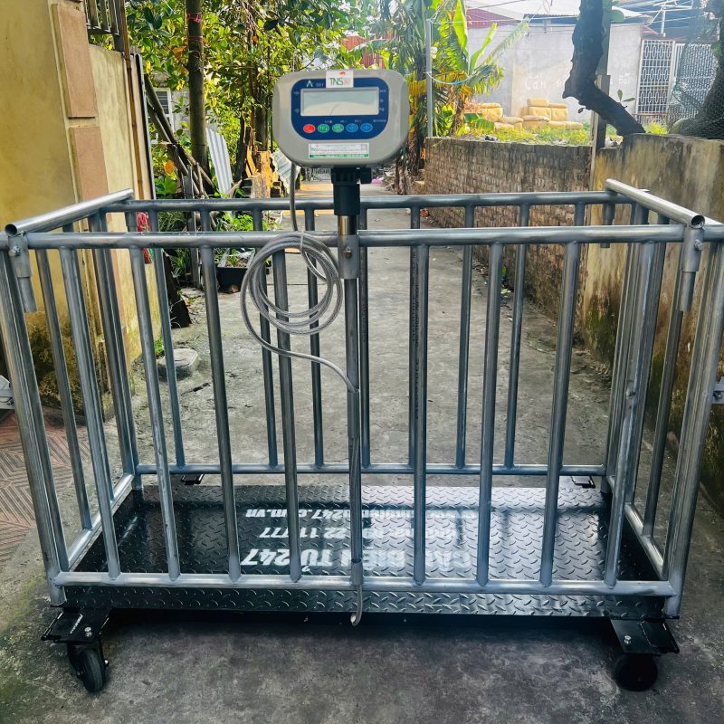 Cân lồng heo HP 3 tấn