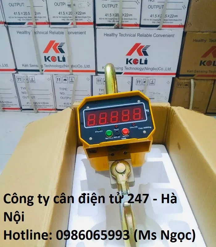 Cân treo điện tử OCS - UP GREEN 3 tấn