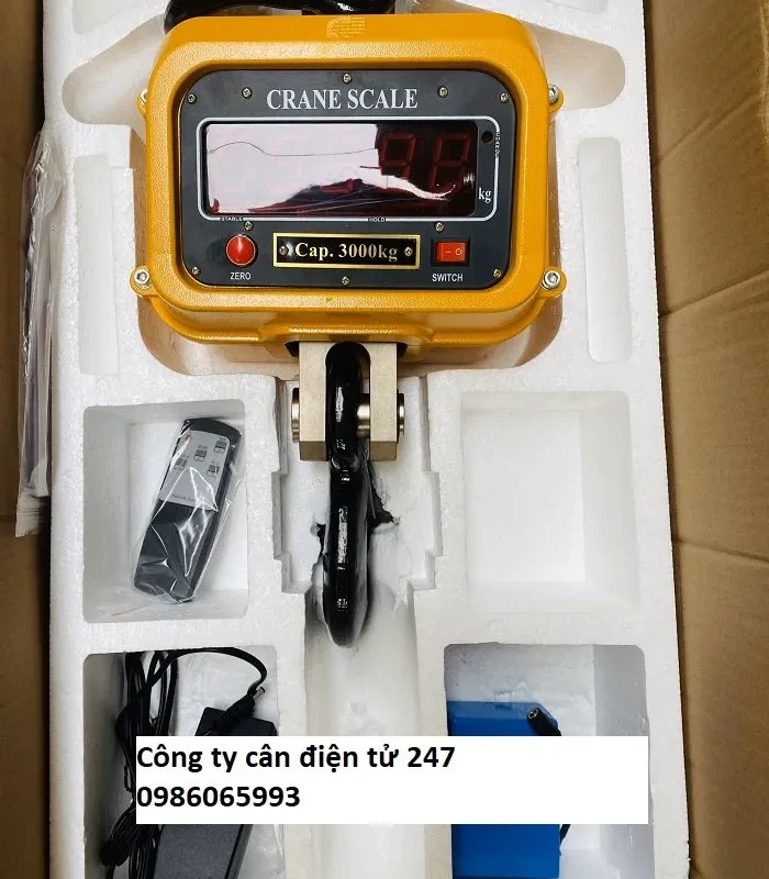 Cân treo điện tử XZ2 30 tấn