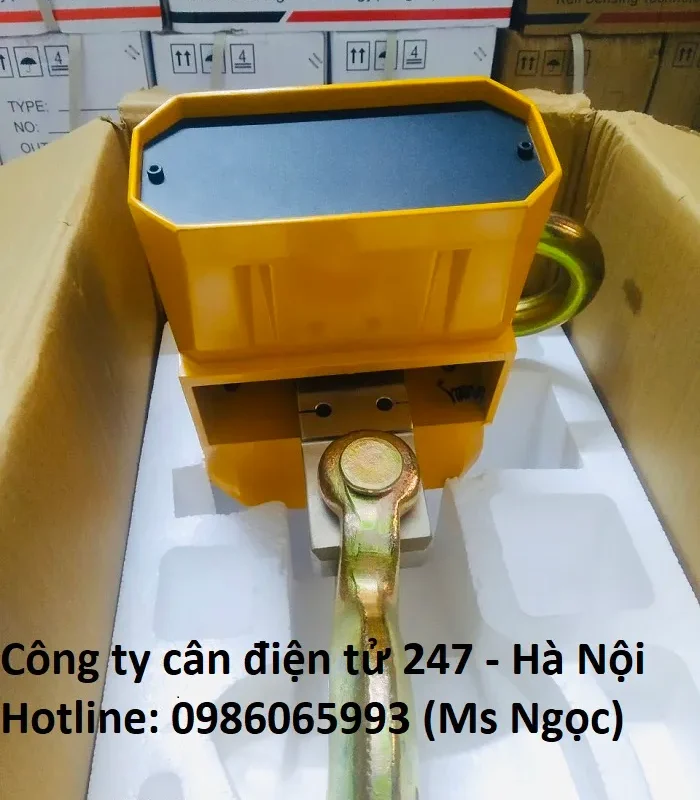 Cân treo điện tử OCS - UP GREEN 5 tấn